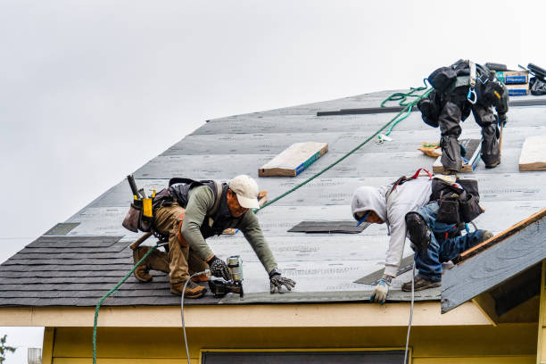 Professional Storm Damage Roof Repair technician working in Emerson, IA